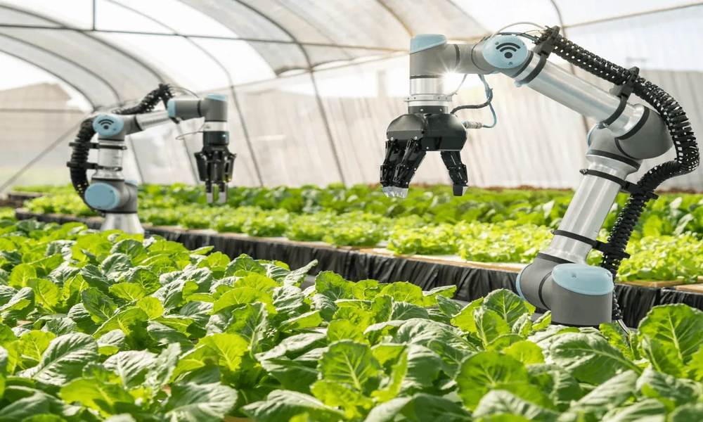 How Transparent Digital Ecosystems Prevent Food Insecurity Without Bureaucracy
